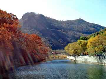 新澳天天开奖资料大全旅游团，绿康路